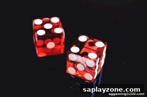 AG真人 saplayzone